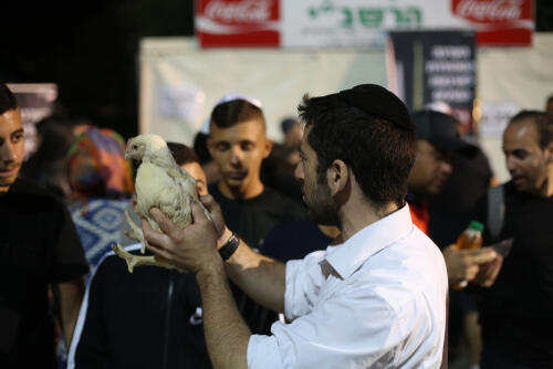 Обряд капарот. Фото: David Cohen 156 shutterstock