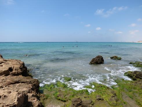 שמורת פלמחים (צילום: דב גרינבלט, החברה להגנת הטבע) שמורת פלמחים