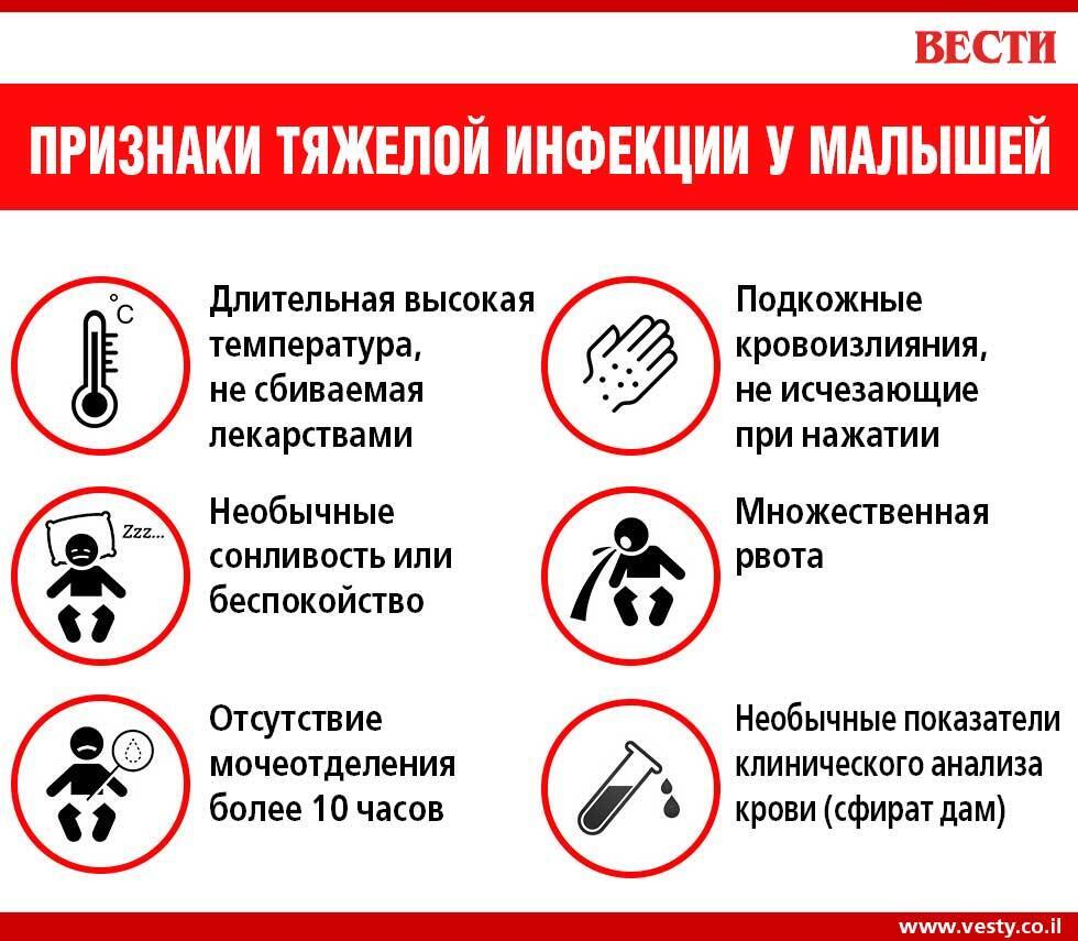 Вести-Ynet