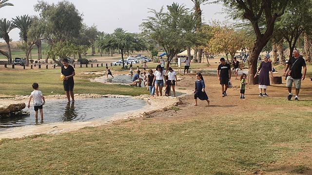 Парк Эшколь. Фото: Барэль Эфраим