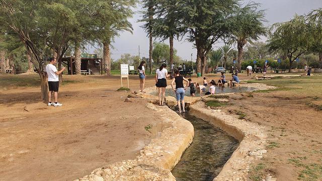 Парк Эшколь. Фото: Барэль Эфраим