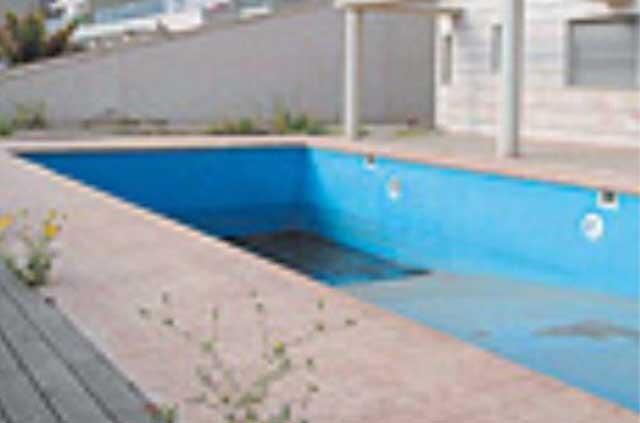 Фото: Ави Роках (Фото: Ави Роках) Фото: Ави Роках