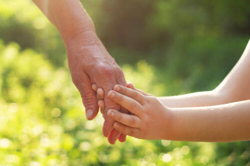 Фото: shutterstock