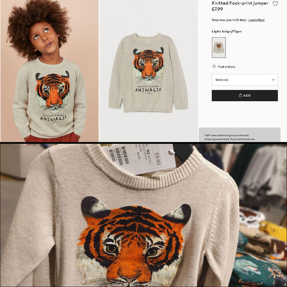 Пуловер с тигром. Фото: Мейрав Кристал (צילום: מירב קריסטל וצילום מסך מהאתר) Пуловер с тигром. Фото: Мейрав Кристал