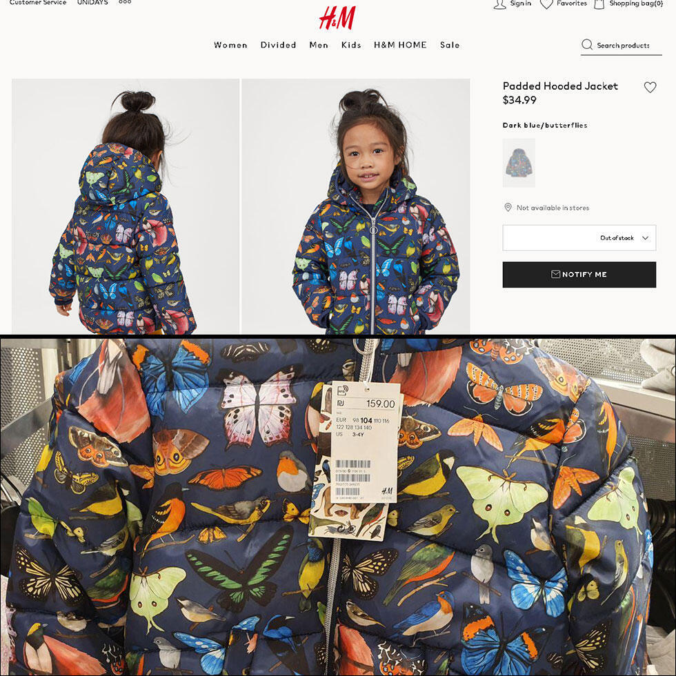 Куртка с бабочками. Фото: Мейрав Кристал (צילום: מירב קריסטל וצילום מסך מהאתר) Куртка с бабочками. Фото: Мейрав Кристал