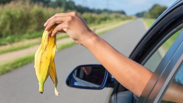 Фото: shutterstock (צילום: shutterstock) Фото: shutterstock