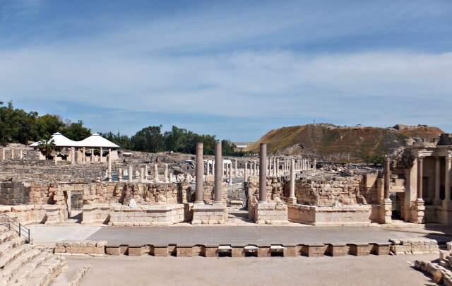 Национальный заповедник Бейт-Шеан. Фото: Леон Левитас (Фото: Леон Левитас) Национальный заповедник Бейт-Шеан. Фото: Леон Левитас