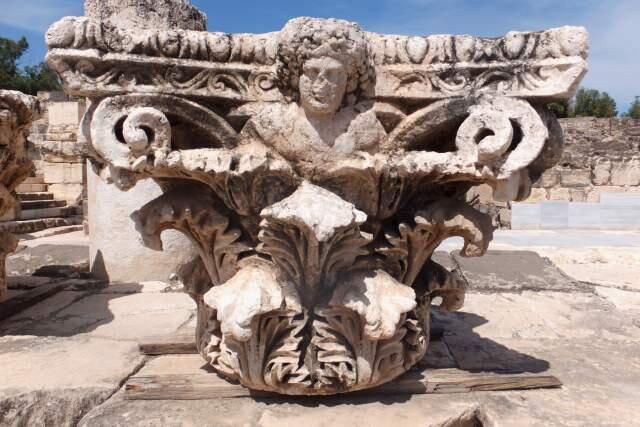 Фото: Леон Левитас (Фото: Леон Левитас) Фото: Леон Левитас