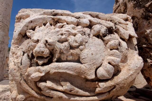 Фото: Леон Левитас (Фото: Леон Левитас) Фото: Леон Левитас