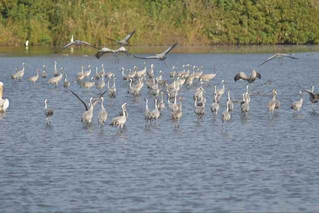 Фото: Михаэль Хури (ККЛ)