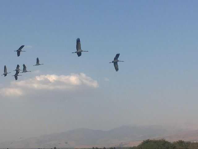 Фото: Гилад Кармели