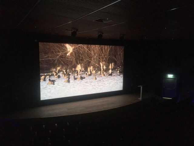 Фото: Гилад Кармели