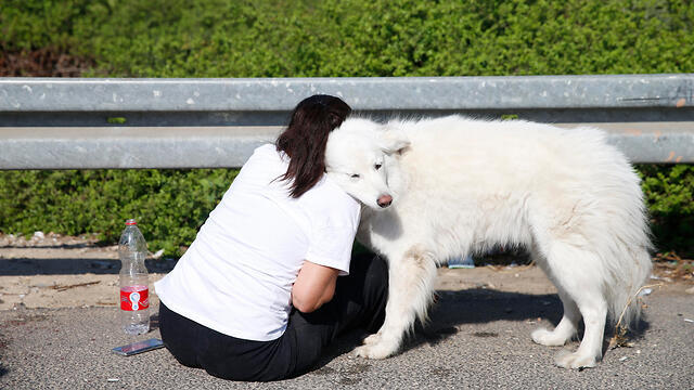 A woman comforts her dog after a rocket strike near Ashdod (צילום: AP) A woman comforts her dog after a rocket strike near Ashdod