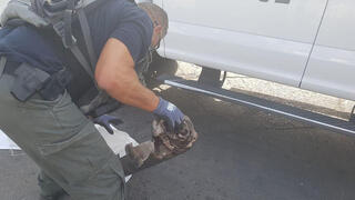 הסלמה רקטה יירוט יירוטים רסיסים עוטף עזה מפעל אזור תעשייה שדרות