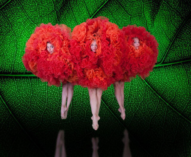 Фрагмент программы "Viva Momix". Фото: Джон Кейн (Фрагмент программы "Viva Momix". Фото: Джон Кейн) Фрагмент программы "Viva Momix". Фото: Джон Кейн