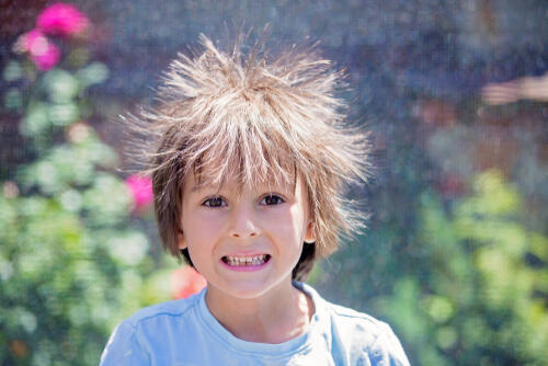 Фото: shutterstock (Фото: shutterstock) Фото: shutterstock