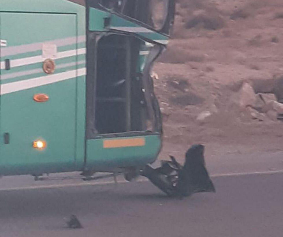 Автобус. Фото: Дан Бонвадия