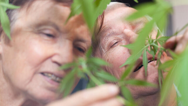 Фото: shutterstock (צילום: shutterstock) Фото: shutterstock