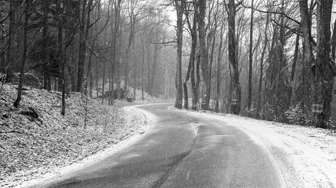 פולין, מרץ 2018 דובי רומן (צילום: דובי רומן) פולין, מרץ 2018 דובי רומן