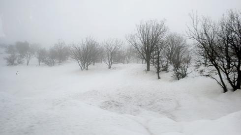 רמת הגולן, פברואר 2015 דובי רומן (צילום: דובי רומן) רמת הגולן, פברואר 2015 דובי רומן