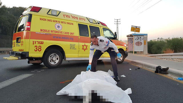 Авария на шоссе № 4. Фото: МАДА