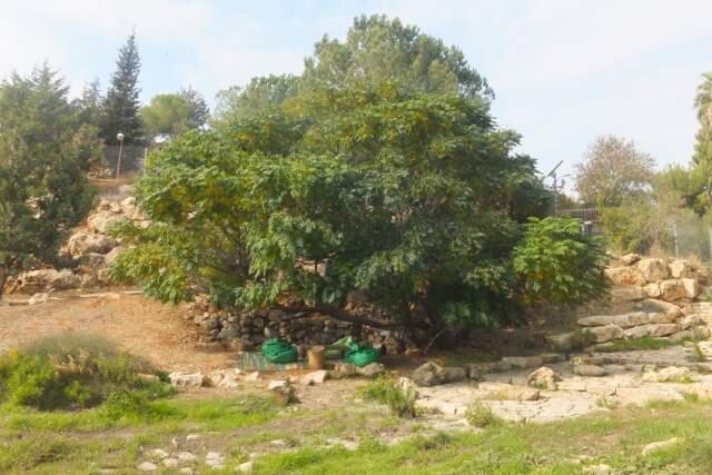 Фото: Леон Левитас