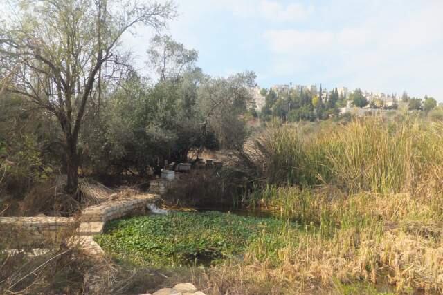 В парке Эмек ха-Цваим. Фото: Леон Левитас