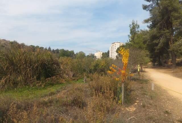 Фото: Леон Левитас