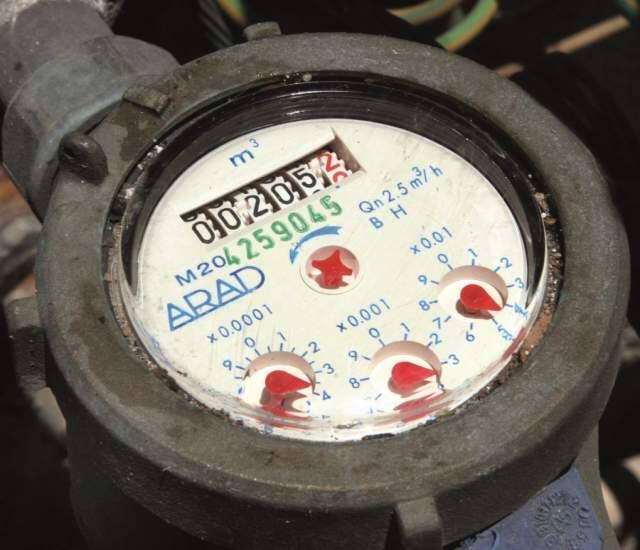 Фото: Цвика Тишлер