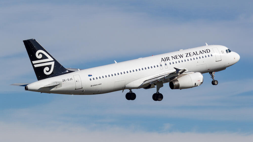 The ground crew did not see MItten's cage and did not unload her (Photo: Shutterstock) מטוס אייר ניו זילנד