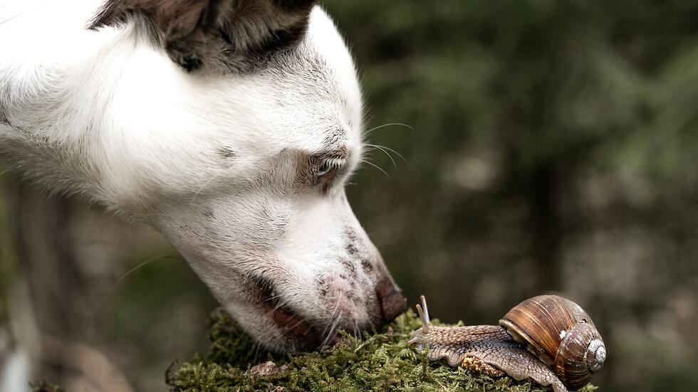 Фото: shutterstock