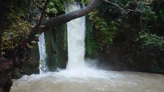 Водопад на речке Ха-Баниас. Фото: Виталий Грендер, пресс-служба Управления национальных заповедников
