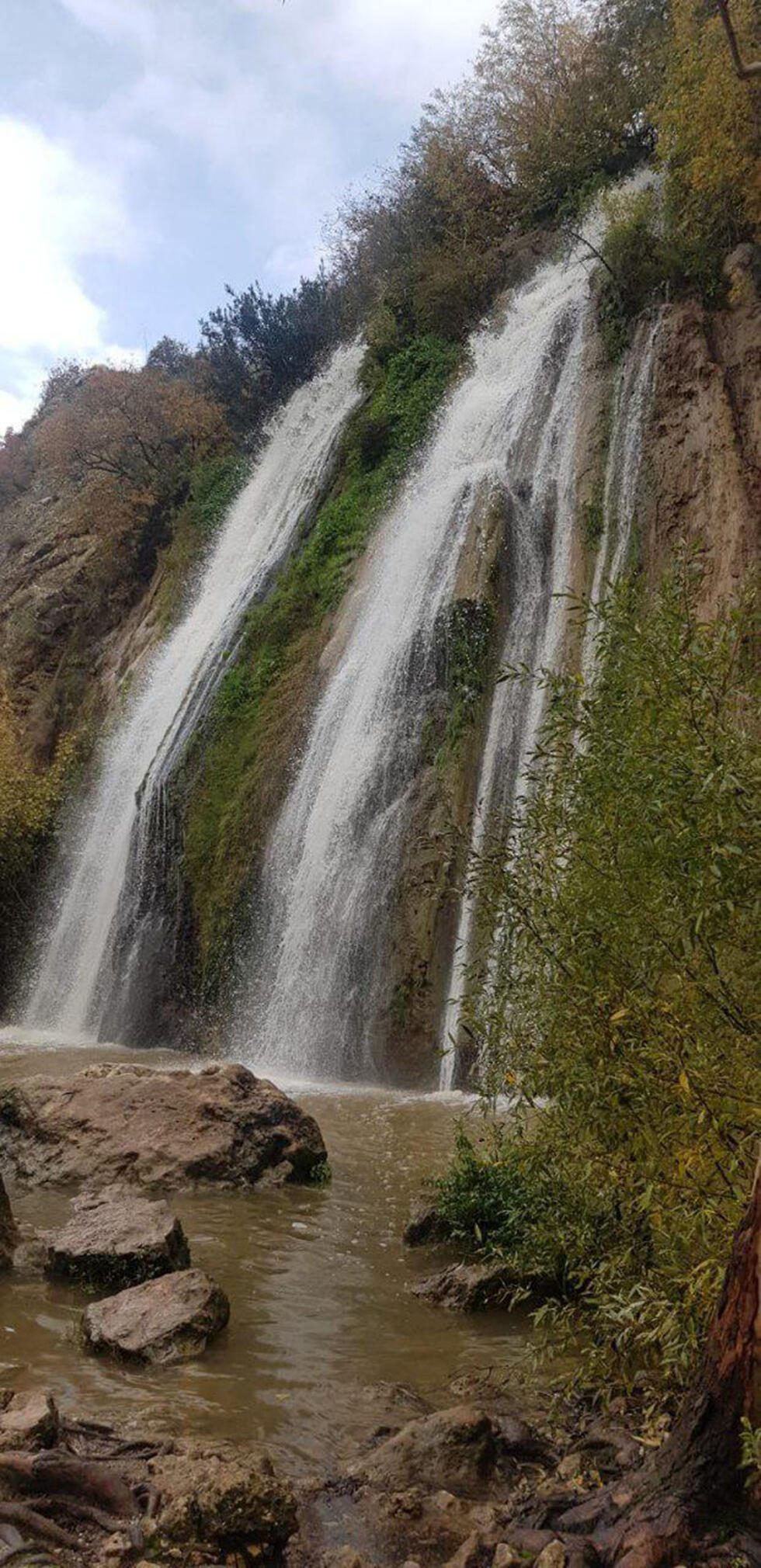 Нахаль-Аюн. Фото: Навия Патали, пресс-служба Управления национальных заповедников