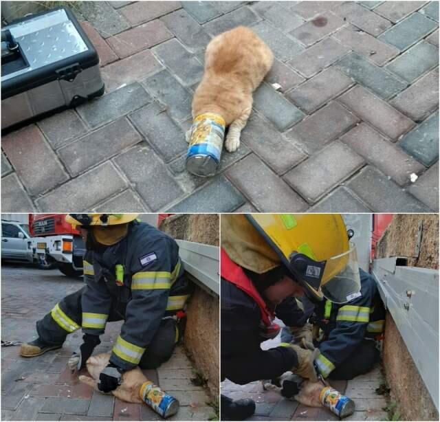 Фото: пресс-служба Службы спасения и пожарной охраны Бней-Брака (Фото: пресс-служба Службы спасения и пожарной охраны Бней-Брака) Фото: пресс-служба Службы спасения и пожарной охраны Бней-Брака