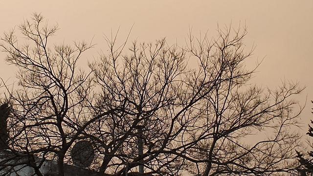 Погода в Кармиэле. Фото: Ахия Равед (צילום: אחיה ראב"ד) Погода в Кармиэле. Фото: Ахия Равед