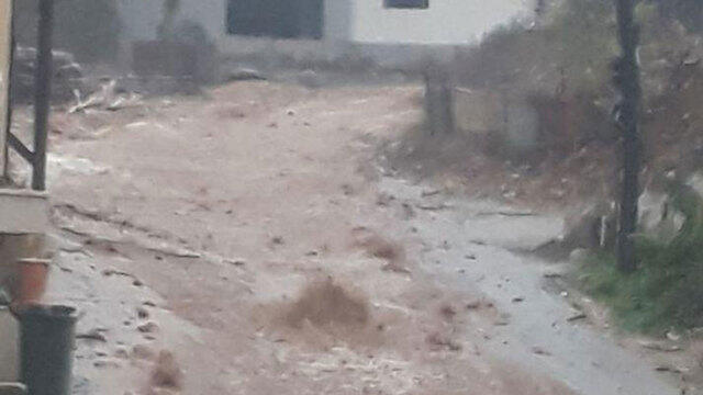 Умм Эль-Фахм