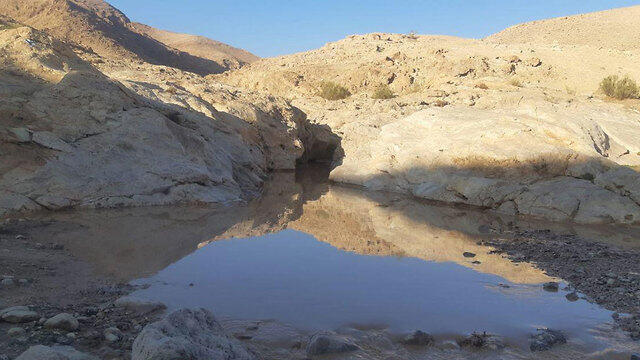 Фото: Джамаль Альатраш