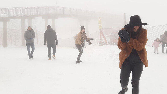 Хермон. Анат Зисович