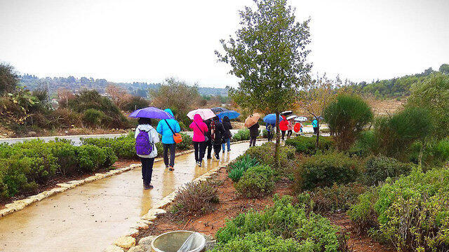 Парк Ципори. Фото: Реувен Рибан