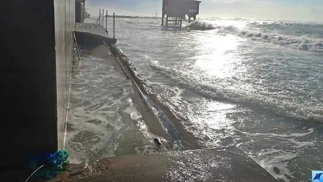 Фото: Рони Зив (Фото: Рони Зив) Фото: Рони Зив