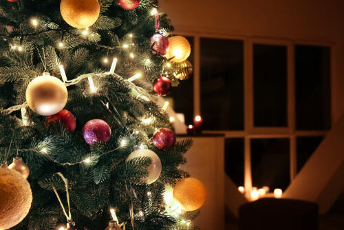 Фото: shutterstock (Фото: shutterstock) Фото: shutterstock