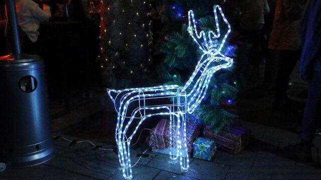 Новогодний символ в Тель-Авиве. Фото: Моти Кимхи (צילום: מוטי קמחי) Новогодний символ в Тель-Авиве. Фото: Моти Кимхи