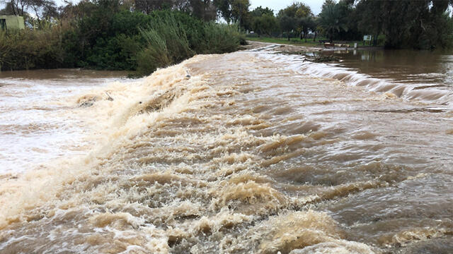 Парк Яркон. Фото: Эяль Левин