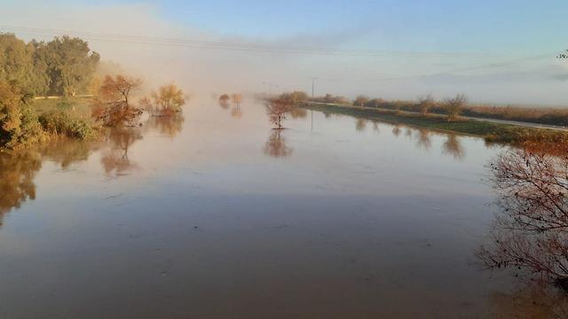 Река Иордан, утро. Фото: Эйнат Зисович (צילום: עינת זיסוביץ) Река Иордан, утро. Фото: Эйнат Зисович