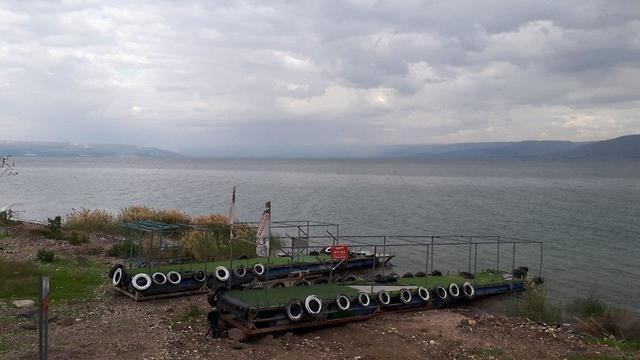 Озеро Кинерет. Фото: Шамир Эльбаз (צילום: שמיר אלבז) Озеро Кинерет. Фото: Шамир Эльбаз