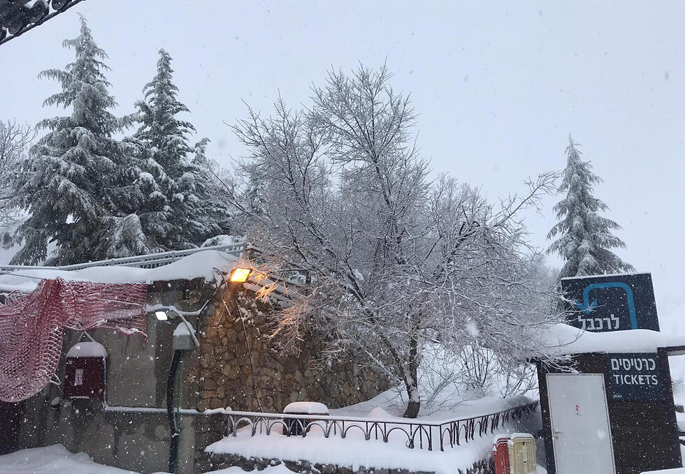 Хермон, 8 января. Фото: пресс-служба горнолыжного комплекса (צילום: אתר החרמון ) Хермон, 8 января. Фото: пресс-служба горнолыжного комплекса