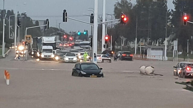 Наводнение в Нагарии. Фото: Ахия Равед