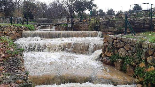 Эйн-Хемед. Фото: Управление парков (צילום: דרור ברון רשות הטבע והגנים) Эйн-Хемед. Фото: Управление парков