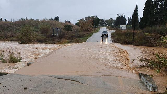 Вышедший из берегов ручей у границы с Газой. Фото: Барэль Эфраим (צילום: בראל אפרים ) Вышедший из берегов ручей у границы с Газой. Фото: Барэль Эфраим