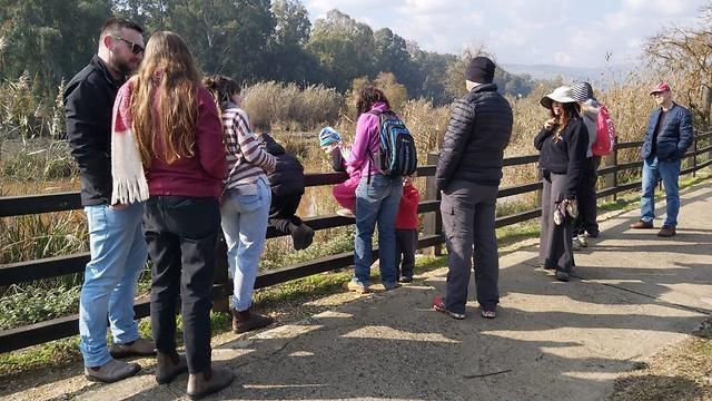 Заповедник Хула. Фото: Хани Хаско, пресс-служба Управления национальных парков и заповедников (צילום: חני הסקו רשות הטבע והגנים) Заповедник Хула. Фото: Хани Хаско, пресс-служба Управления национальных парков и заповедников